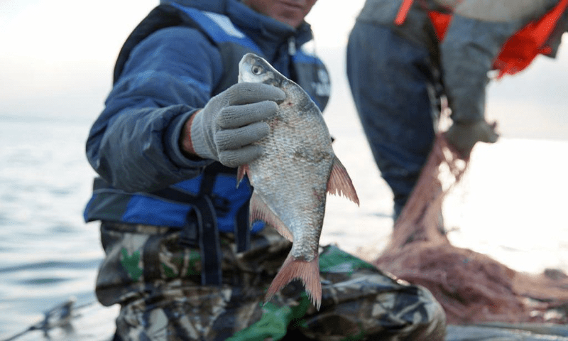 Весенний рыболовный сезон начался в Атырау