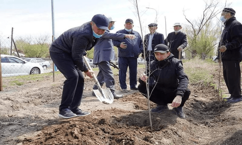 Акция «К 30-летию Независимости - 30 млн деревьев» проходит в Туркестанской области