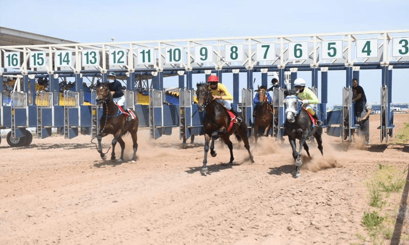 В Нур-Султане прошли республиканские соревнования по конному спорту