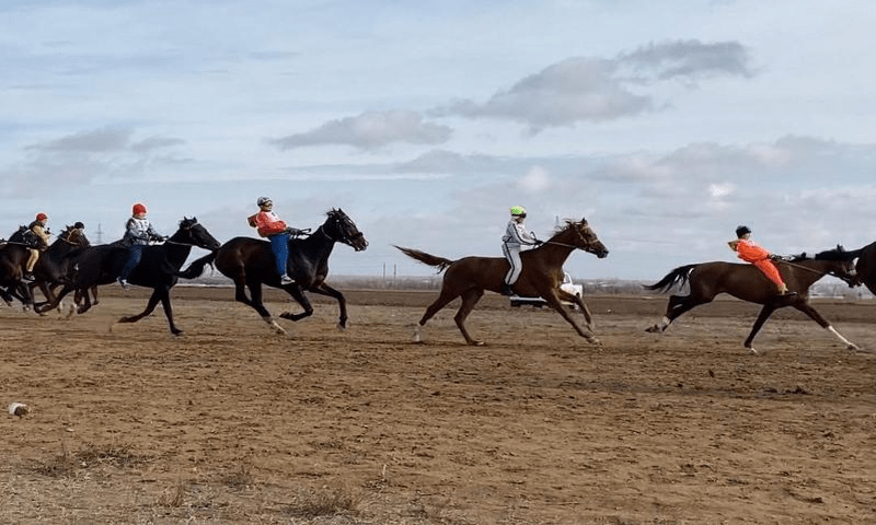 В Карагандинской области прошёл чемпионат по конным видам спорта