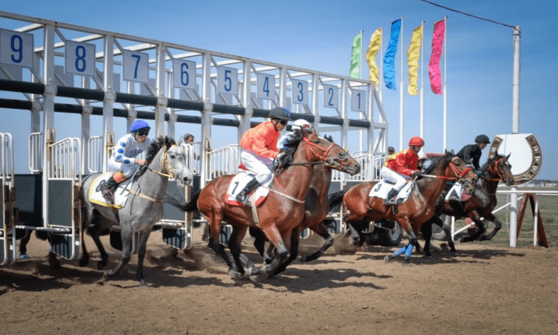 В Павлодаре чемпионат РК по конным видам спорта