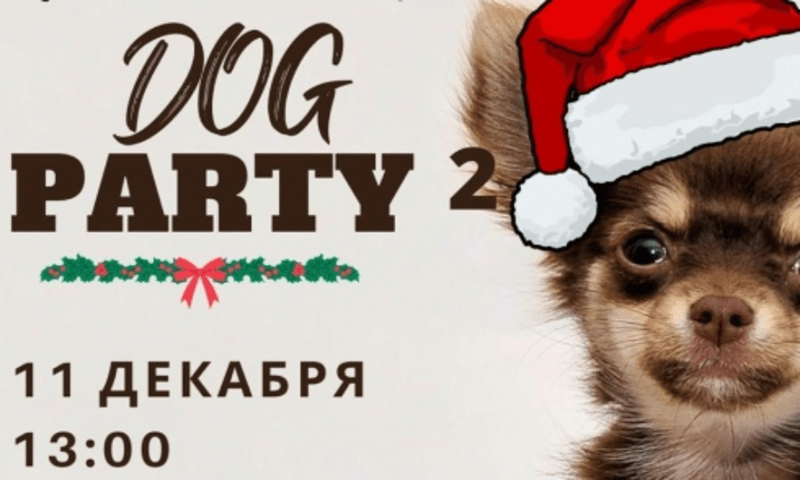 В Караганде пройдет «Dog Party»